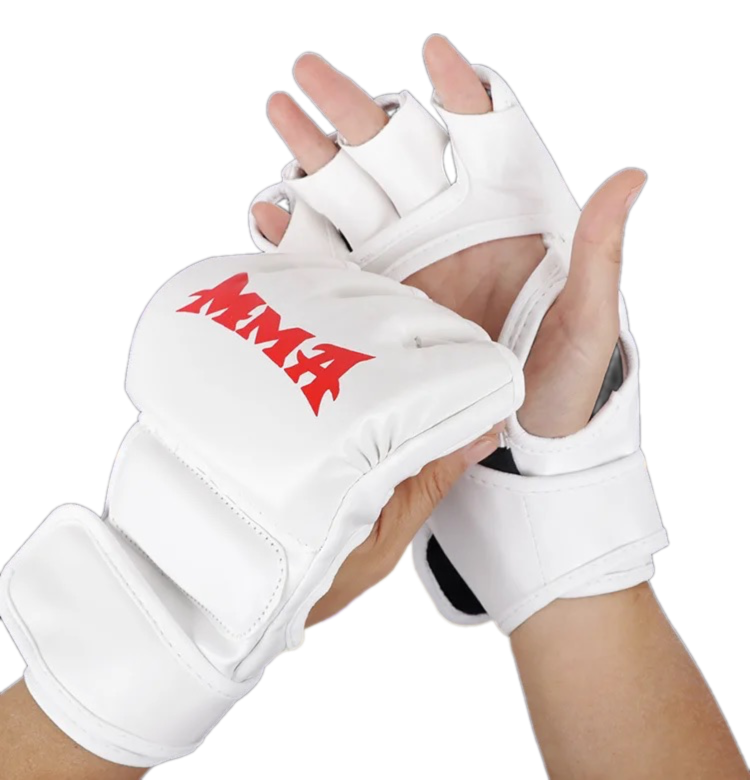Luva de Boxe (MMA)